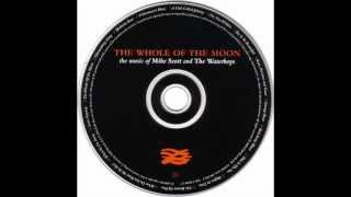 07 THE WATERBOYS   SHE IS SO BEAUTIFUL THE WHOLE OF THE MOON