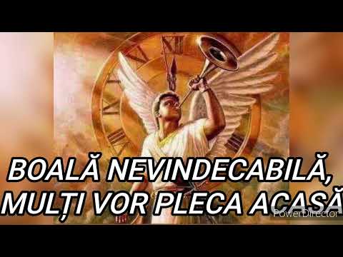 Prorocie - Trezesc poporul, voi frange toiagul pâinii, criză mondială, probe grele