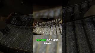 MSC Divina review: Everything you need to know