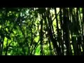 Keen V Les Mots Clip Officiel