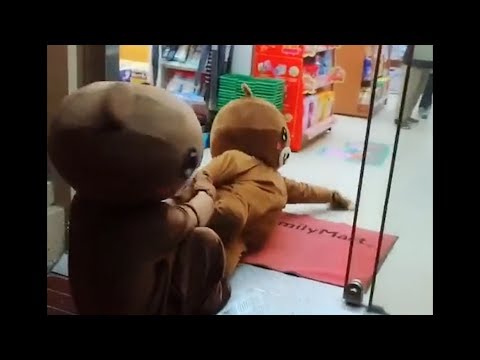 I Want To Go In！Lovely little bear everyday & Funny Pranks Compilation - 2019#70