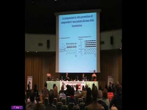 4 aprile 2009. Giuliano Taccola 2