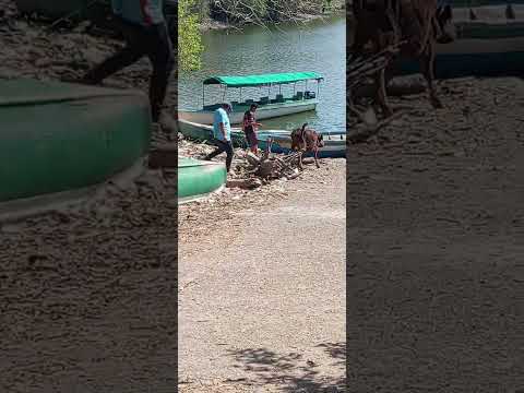 un rincón magico de nuetro pais, san francisco lempa el lago