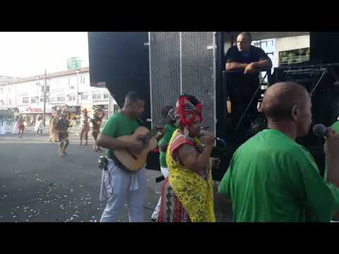 Acadêmicos do Vidigal - 2022