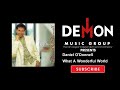 Daniel O'Donnell - What A Wonderful World