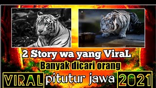 Download lagu Story wa macan putih jawa yang sabar // Story wa pitutur Jawa macan putih. mp3