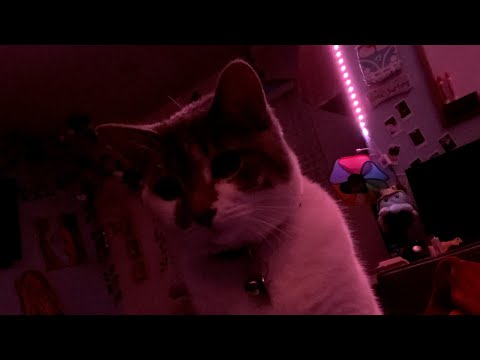 Afterlife by Rossano Galante (performed by one person)