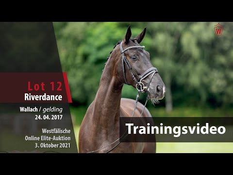 62. Elite-Auktion Training Lot 12 Riverdance v. Riptide/Totilas