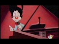 Animaniacs On Kids WB In 2004 Totally Real And Rare Requests Closed