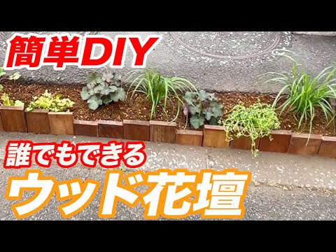 庭に低い生垣や境界線としてラベンダーを植えるにはどうすればよいですか？  庭園