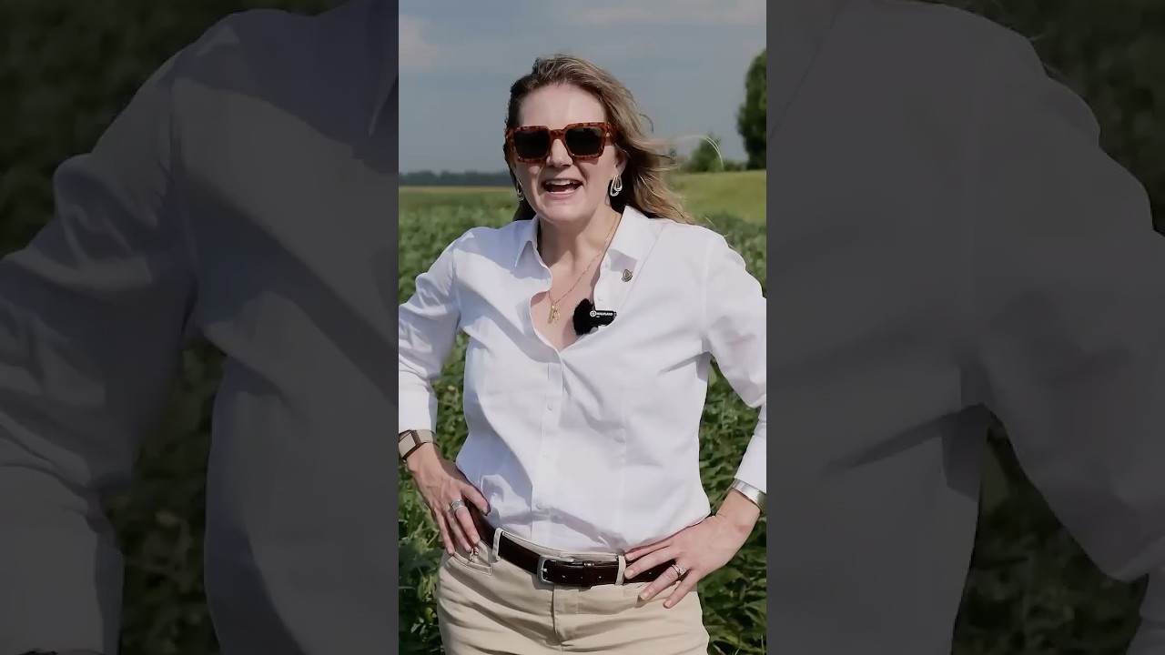 Dishin’ the Dirt: Mississippi Producers Get More Crop Per Drop With NRCS Assistance