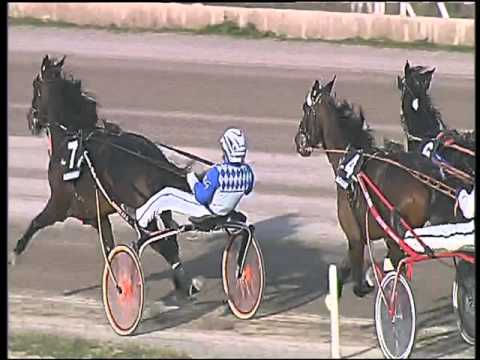 Trotto 07/01/2016 - 3° corsa