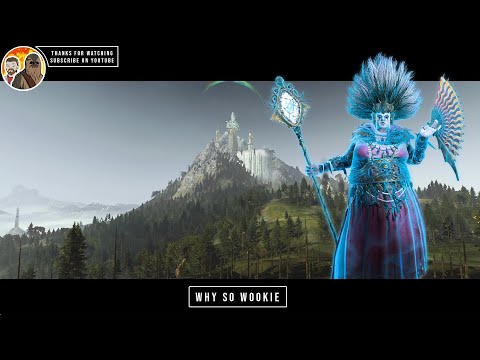 WARHAMMER 2 QUEST BATTLE (CYLOSTRA DIREFIN - THE BORDELEAUX FLABELLUM - HIGH ELVES)