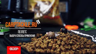Что такое пелетс в карповой рыбалке и применение