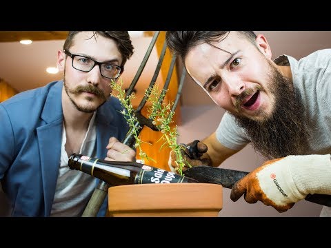 download lagu mp3 mp4 Saison Beer Style, download lagu Saison Beer Style gratis, unduh video klip Saison Beer Style