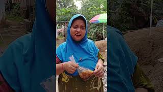 Download lagu really delicious chicken cilok snacks #funny #soap opera comedy #comedy #laugh #comedy #gudanghib... mp3 Download lagu really delicious chicken cilok snacks #funny #soap opera comedy #comedy #laugh #comedy #gudanghib... mp3