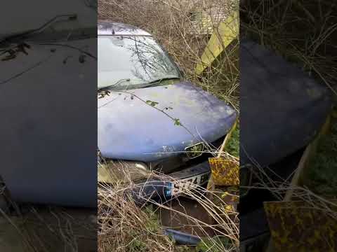 Thumbnail for Barn find Peugeot by Peugeot