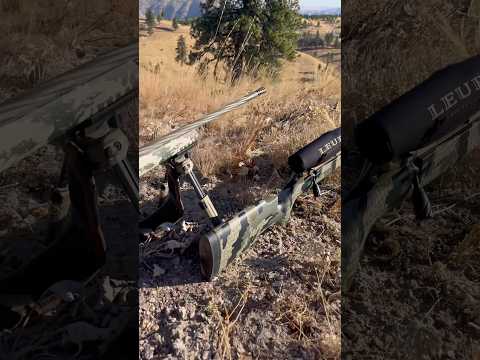 Weatherby M307 - Accuracy Test