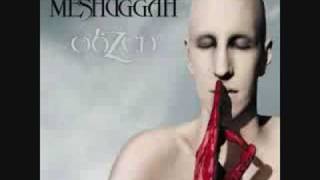 Meshuggah - ObZen