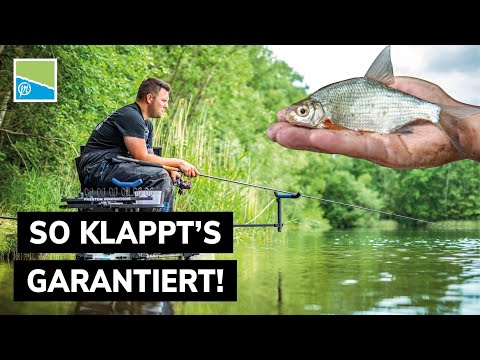 Grundkenntnisse fürs Feederfischen | 10 Tipps von Benny Schröder!