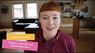 Clicker Training Explained: Shaping, Capturing, and Offered Behaviour