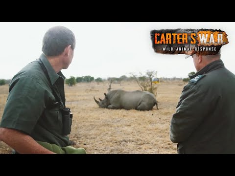 Inside Africa's Vicious Rhino War | Carter's WAR