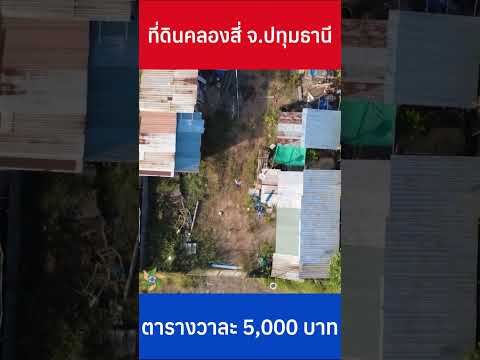 🌿ขายที่ดินสวย คลองสี่ตะวันตก 21 พร้อมสระเลี้ยงปลา บรรยากาศดีมาก🌿  – รูปที่ 2