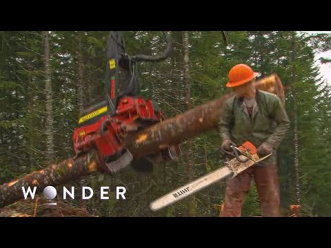 Is This The Deadliest Job In North America?