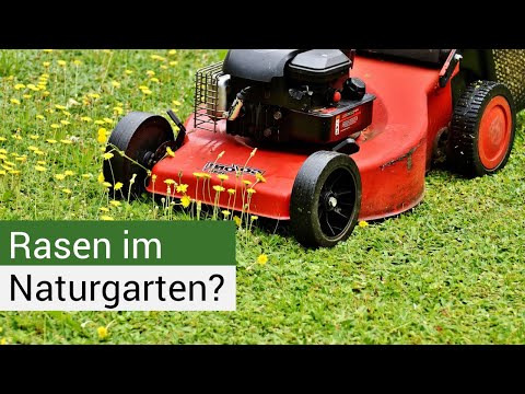 Rasen im Naturgarten: Die unterschätzte Chance für Artenvielfalt – Vorurteile widerlegt!