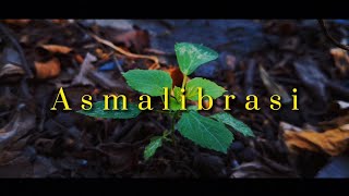 Download lagu ASMALIBRASI MUSIC FOR VIDEOS || CINEMATIC VIDEO || STORY WA CINEMATIC 1 MENIT mp3