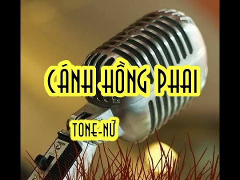 Karaoke Cánh Hồng Phai Tone Nữ Phong Cách Trấn Thành nhẹ nhàng lãng mạng say đắm Mr.Thanh79