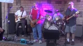 Wild Horses Cover by The Time Trippers