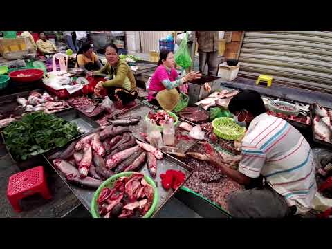 Cambodian Street Food - Fresh Foods,Fishes,And Seafood - Market Food Show