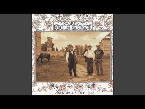 A Románoké (Cigánytánc, Forgatós, Invirtita, Verbunk, Sűrű Magyar)