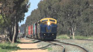 preview picture of video 'POTA through Rochester : Australian Trains'