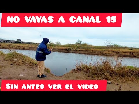 !! CANAL 15 castelli !! // RIO SALADO NO VAN A PODER CREER LO QUE ESTA PASANDO !! pesca y cocina ///