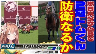 【第57回ハンサムBC】とらじろさん家のダービースタリオン#89