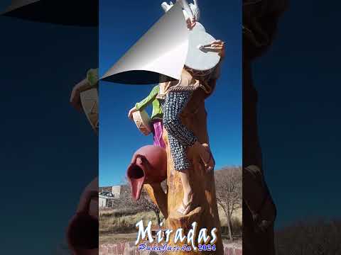 JARDIN DE LA PUNA, MONUMENTO A LA COPLA Y EL ERKE #punajujeña #jujuy #shorts