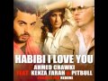 Chawki Feat. Kenza Farah & Pitbull - Habibi I ...