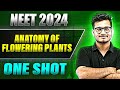 ANATOMY OF FLOWERING PLANTS In 1 Shot FULL CHAPTER COVERAGE Theory PYQs Prachand NEET