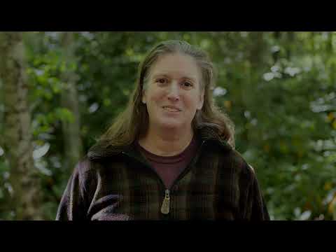 Blazing the Appalachian Trail