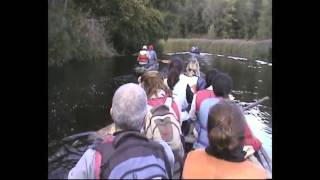 Estonia - Travel Wild