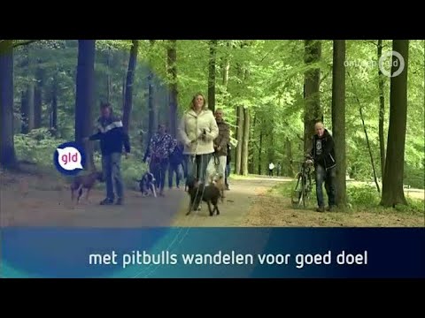GLD Nieuws 15 mei 2016