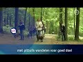 GLD Nieuws 15 mei 2016