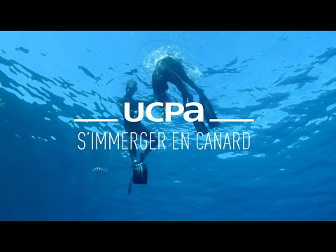 Freediving Tutorials #5 - How to duck dive