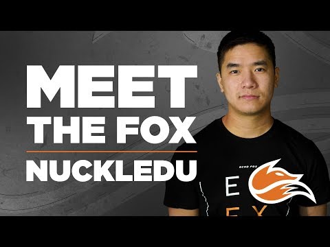 Meet The Fox: NuckleDu