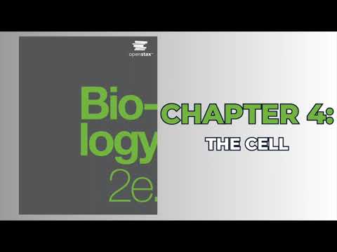 OpenStax Biology 2e (Audiobook) - Chapter 4: The Cell