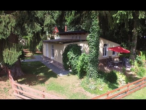 Neu renoviertes Ferienhaus "Waldhaus" in der Ferienanlage Rabenstein in Chemnitz - Urlaub mit Hund