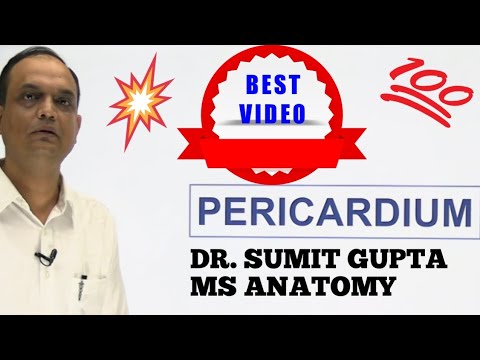 PERICARDIUM AND IT'S SINUSES