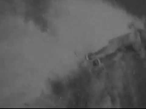 ICTU$$  ✡✝✡ DARN FELE$  //  FR👽TERNID✡D  👽 [LSDN]